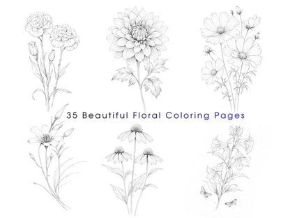 Beautiful Flowers