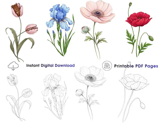 Beautiful Flowers