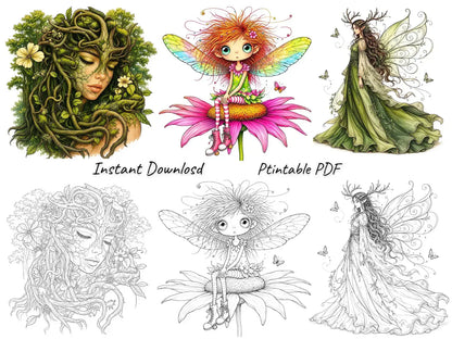 Forest Fairies